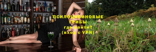 герыч Мегион