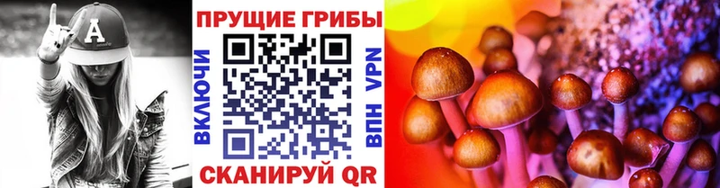 даркнет сайт  Абакан  ОМГ ОМГ маркетплейс  Галлюциногенные грибы Psilocybe 