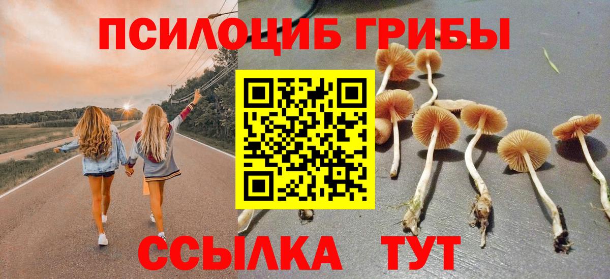 Галлюциногенные грибы Magic Shrooms Абакан